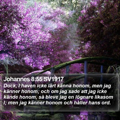 Johannes 8:55 SV1917 Bible Verse Image