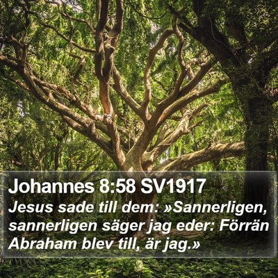 Johannes 8:58 SV1917 Bible Verse Image