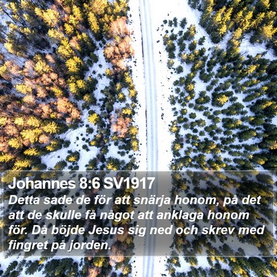 Johannes 8:6 SV1917 Bible Verse Image
