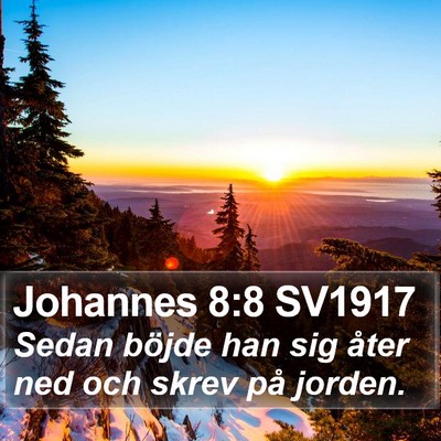 Johannes 8:8 SV1917 Bible Verse Image