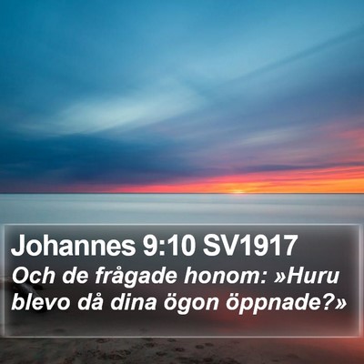 Johannes 9:10 SV1917 Bible Verse Image