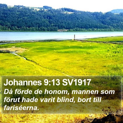 Johannes 9:13 SV1917 Bible Verse Image