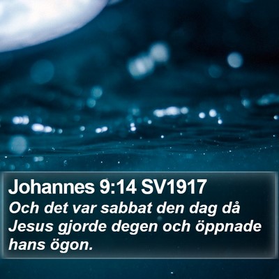 Johannes 9:14 SV1917 Bible Verse Image