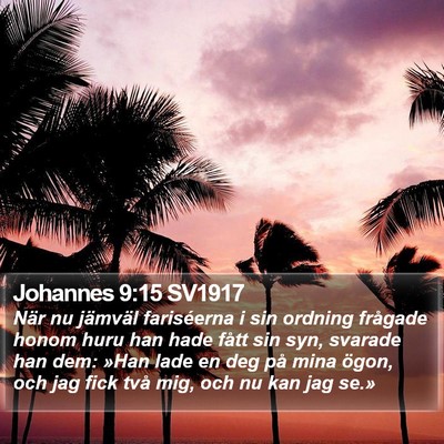 Johannes 9:15 SV1917 Bible Verse Image