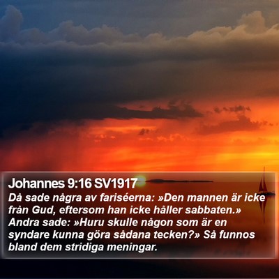 Johannes 9:16 SV1917 Bible Verse Image