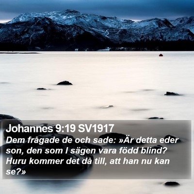 Johannes 9:19 SV1917 Bible Verse Image