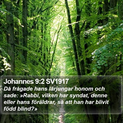 Johannes 9:2 SV1917 Bible Verse Image
