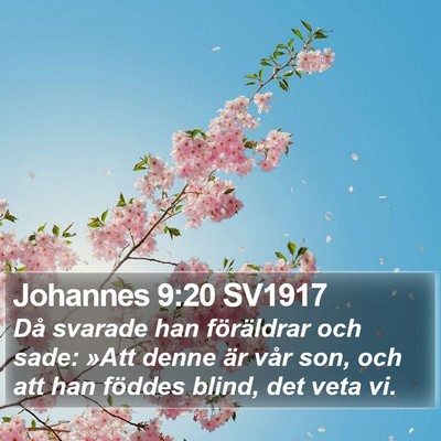 Johannes 9:20 SV1917 Bible Verse Image