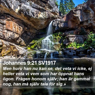 Johannes 9:21 SV1917 Bible Verse Image