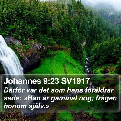 Johannes 9:23 SV1917 Bible Verse Image