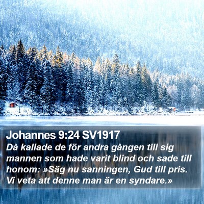 Johannes 9:24 SV1917 Bible Verse Image