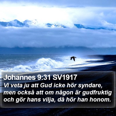 Johannes 9:31 SV1917 Bible Verse Image