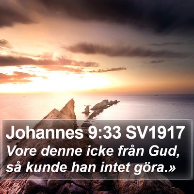 Johannes 9:33 SV1917 Bible Verse Image