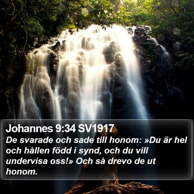 Johannes 9:34 SV1917 Bible Verse Image
