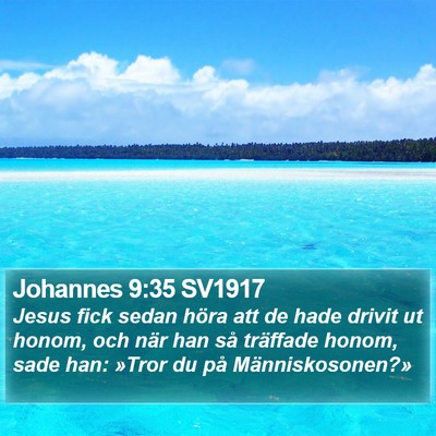 Johannes 9:35 SV1917 Bible Verse Image