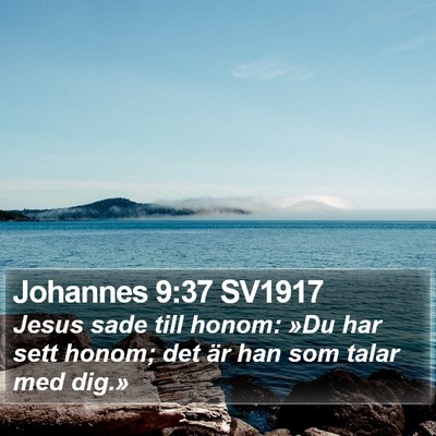 Johannes 9:37 SV1917 Bible Verse Image