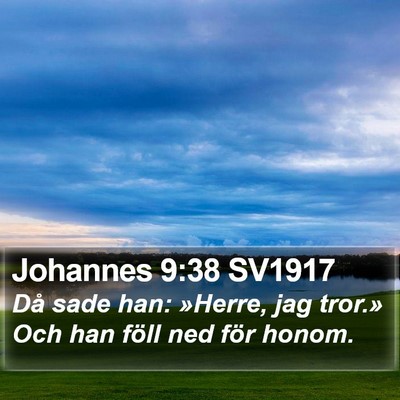 Johannes 9:38 SV1917 Bible Verse Image