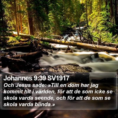 Johannes 9:39 SV1917 Bible Verse Image