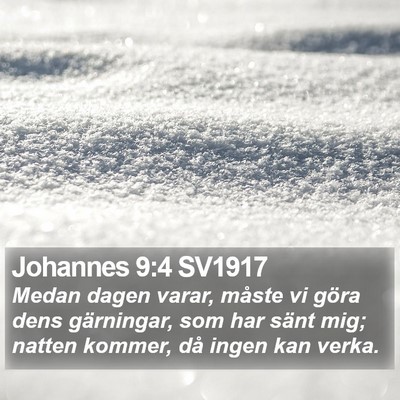 Johannes 9:4 SV1917 Bible Verse Image