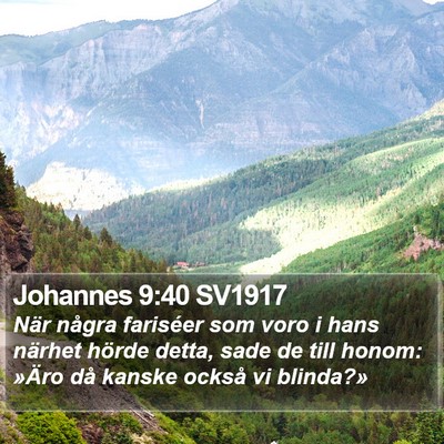 Johannes 9:40 SV1917 Bible Verse Image