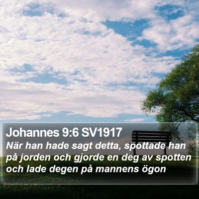 Johannes 9:6 SV1917 Bible Verse Image