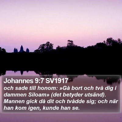 Johannes 9:7 SV1917 Bible Verse Image