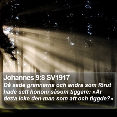 Johannes 9:8 SV1917 Bible Verse Image