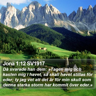Jona 1:12 SV1917 Bible Verse Image