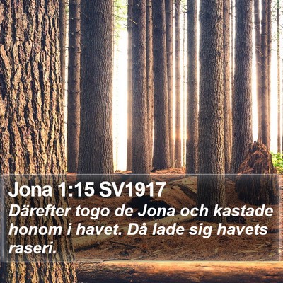 Jona 1:15 SV1917 Bible Verse Image