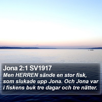 Jona 2:1 SV1917 Bible Verse Image