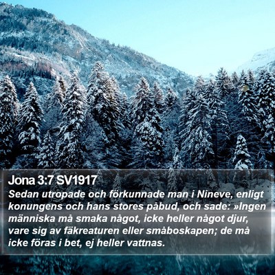 Jona 3:7 SV1917 Bible Verse Image