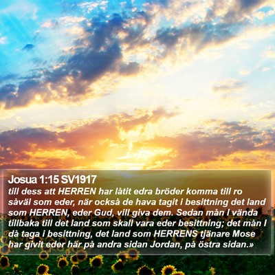 Josua 1:15 SV1917 Bible Verse Image