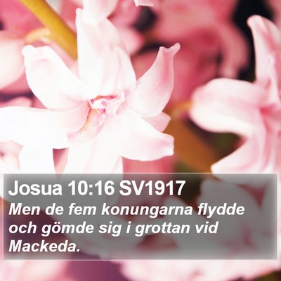 Josua 10:16 SV1917 Bible Verse Image