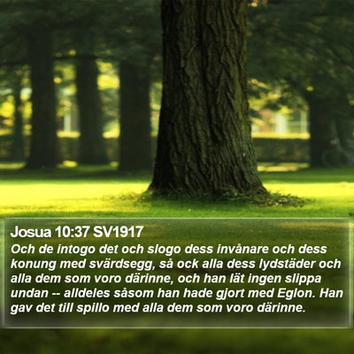 Josua 10:37 SV1917 Bible Verse Image