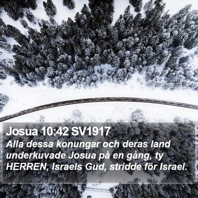 Josua 10:42 SV1917 Bible Verse Image