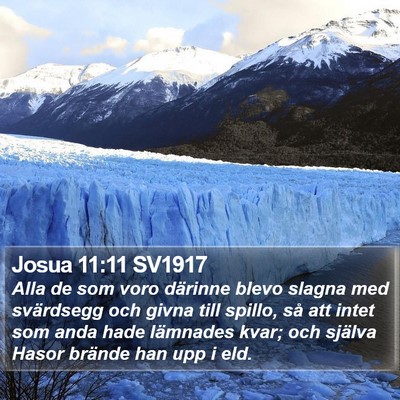 Josua 11:11 SV1917 Bible Verse Image