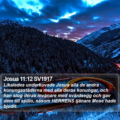 Josua 11:12 SV1917 Bible Verse Image