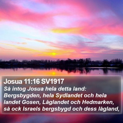 Josua 11:16 SV1917 Bible Verse Image