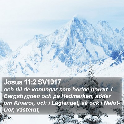 Josua 11:2 SV1917 Bible Verse Image