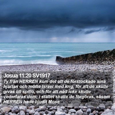 Josua 11:20 SV1917 Bible Verse Image