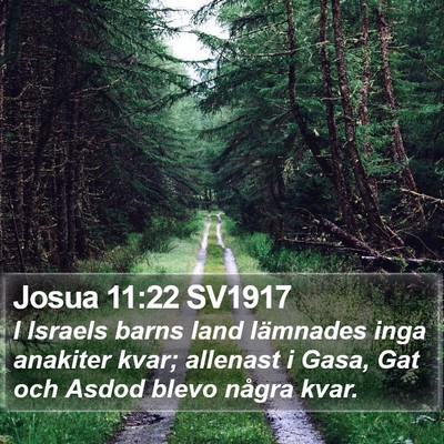 Josua 11:22 SV1917 Bible Verse Image