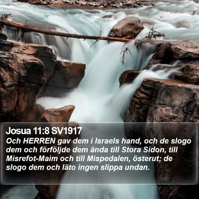 Josua 11:8 SV1917 Bible Verse Image