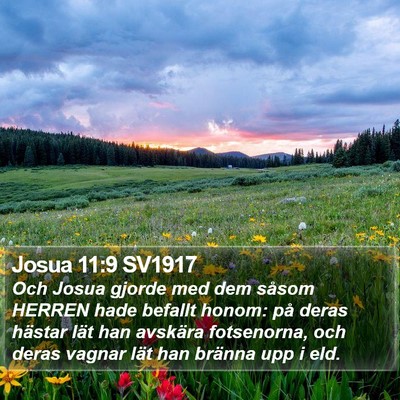 Josua 11:9 SV1917 Bible Verse Image