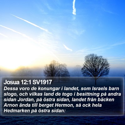 Josua 12:1 SV1917 Bible Verse Image