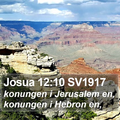 Josua 12:10 SV1917 Bible Verse Image