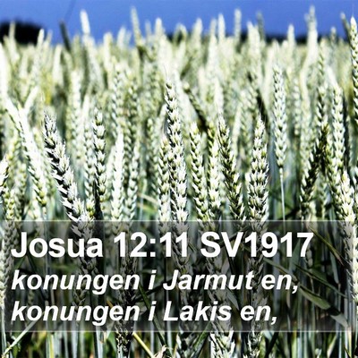 Josua 12:11 SV1917 Bible Verse Image