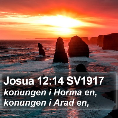 Josua 12:14 SV1917 Bible Verse Image