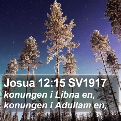 Josua 12:15 SV1917 Bible Verse Image