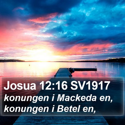Josua 12:16 SV1917 Bible Verse Image