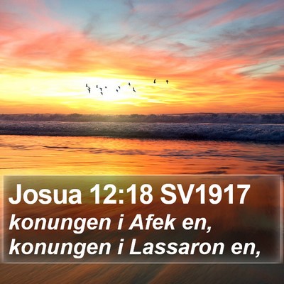 Josua 12:18 SV1917 Bible Verse Image